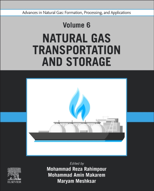 Advances in Natural Gas: Formation, Processing, and Applications. Volume 6: Natural Gas Transportation and Storage, Paperback / softback Book