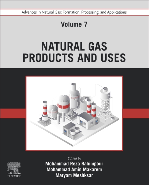 Advances in Natural Gas: Formation, Processing, and Applications. Volume 7: Natural Gas Products and Uses, Paperback / softback Book