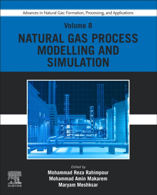 Advances in Natural Gas: Formation, Processing, and Applications. Volume 8: Natural Gas Process Modelling and Simulation, Paperback / softback Book