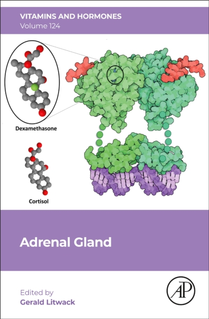 Adrenal Gland : Volume 124, Hardback Book
