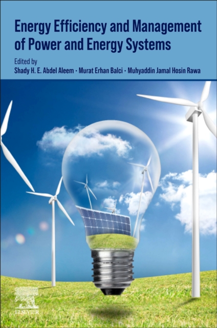 Energy Efficiency of Modern Power and Energy Systems, Paperback / softback Book