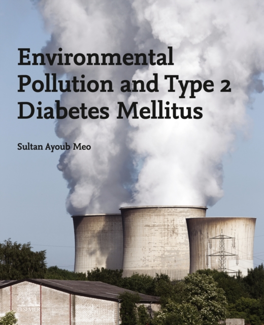 Environmental Pollution and Type 2 Diabetes Mellitus, EPUB eBook