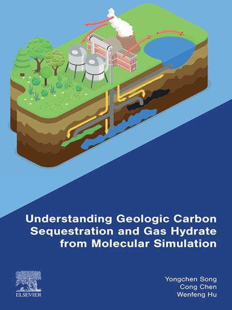 Understanding Geologic Carbon Sequestration and Gas Hydrate from Molecular Simulation, EPUB eBook