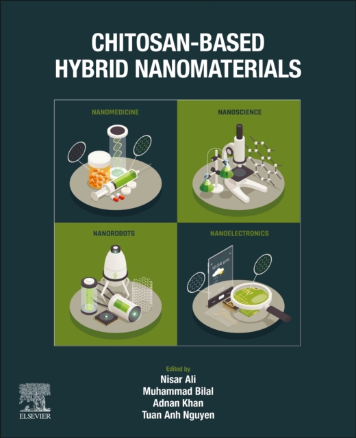 Chitosan-Based Hybrid Nanomaterials, Paperback / softback Book