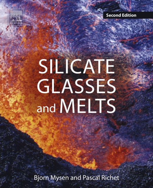 Silicate Glasses and Melts, EPUB eBook