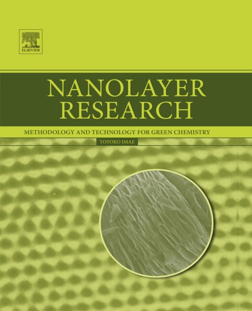 Nanolayer Research : Methodology and Technology for Green Chemistry, EPUB eBook