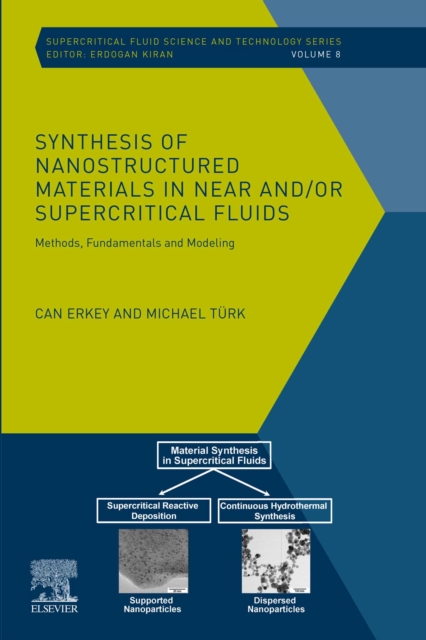 Synthesis of Nanostructured Materials in Near and/or Supercritical Fluids : Methods, Fundamentals and Modeling, EPUB eBook