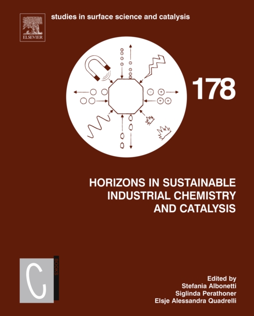 Horizons in Sustainable Industrial Chemistry and Catalysis, EPUB eBook