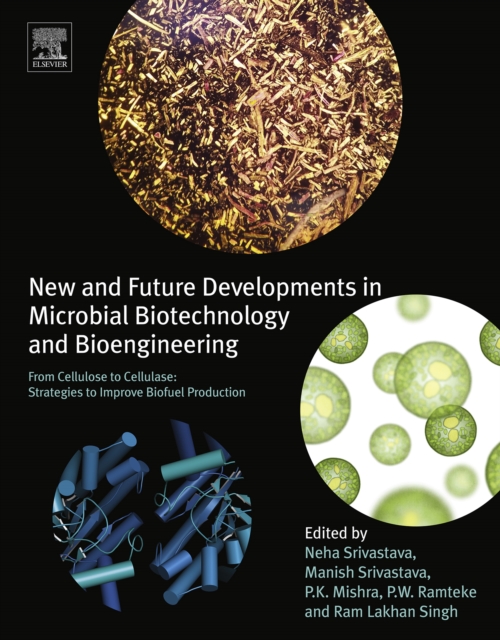 New and Future Developments in Microbial Biotechnology and Bioengineering : From Cellulose to Cellulase: Strategies to Improve Biofuel Production, EPUB eBook