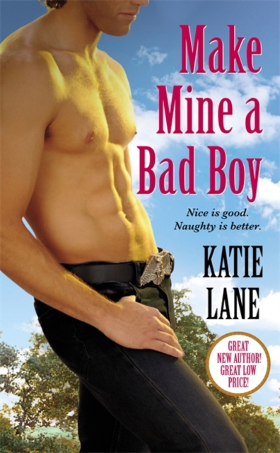 Make Mine A Bad Boy : Number 2 in series, Paperback / softback Book