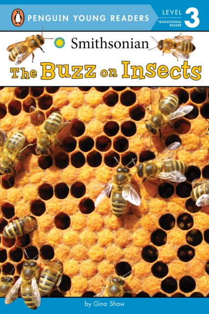 The Buzz On Insects, Hardback Book