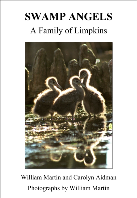Swamp Angels: A Family of Limpkins, EPUB eBook
