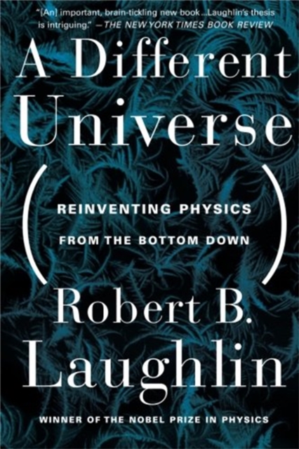 A Different Universe : Reinventing Physics From the Bottom Down, Paperback / softback Book