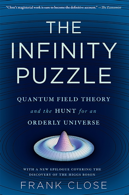The Infinity Puzzle : Quantum Field Theory and the Hunt for an Orderly Universe, Paperback / softback Book