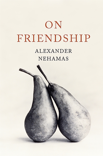 On Friendship, Hardback Book