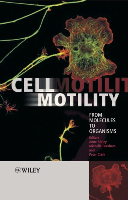 Cell Motility : From Molecules to Organisms, PDF eBook