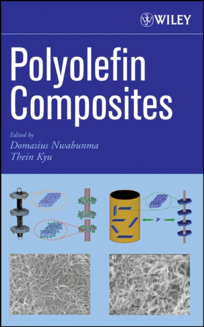 Polyolefin Composites, PDF eBook