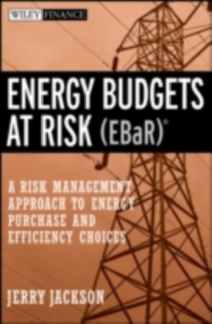 Energy Budgets at Risk (EBaR) : A Risk Management Approach to Energy Purchase and Efficiency Choices, PDF eBook