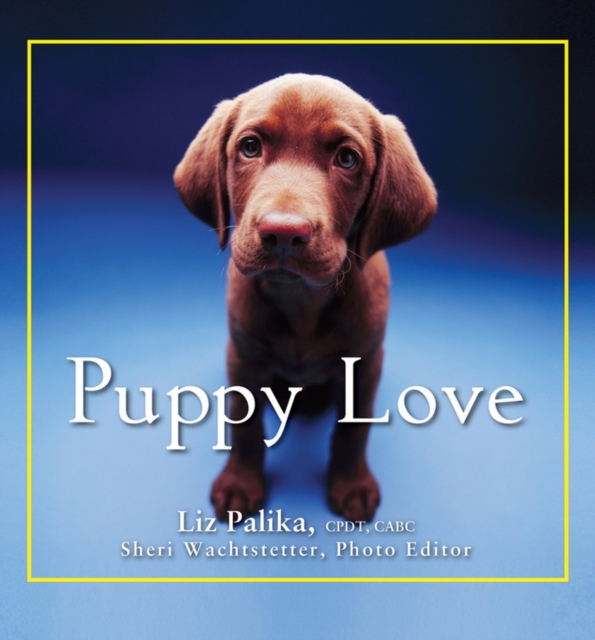 Puppy Love, Hardback Book
