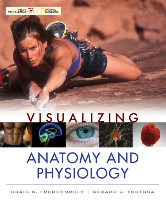 Visualizing Anatomy and Physiology, Paperback / softback Book