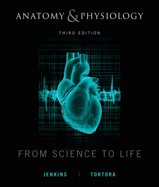 Anatomy and Physiology : From Science to Life, Hardback Book