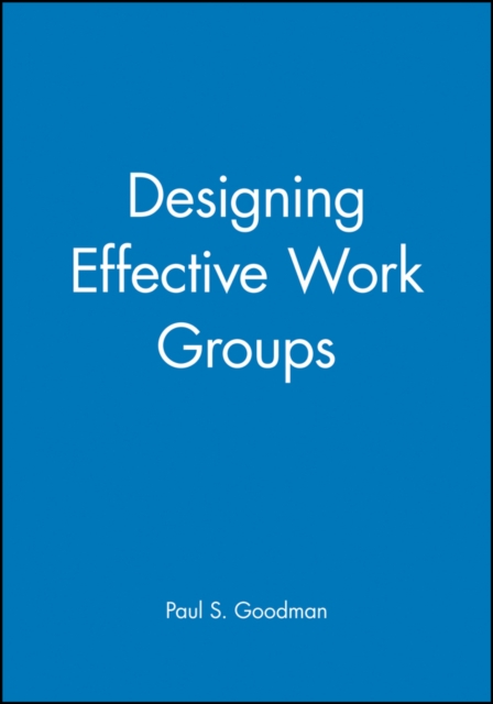 Designing Effective Work Groups, Paperback / softback Book