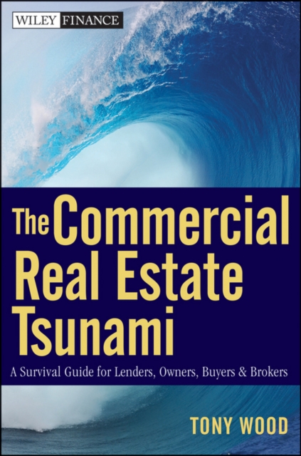 The Commercial Real Estate Tsunami : A Survival Guide for Lenders, Owners, Buyers, and Brokers, Hardback Book