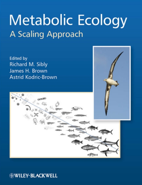 Metabolic Ecology : A Scaling Approach, Hardback Book