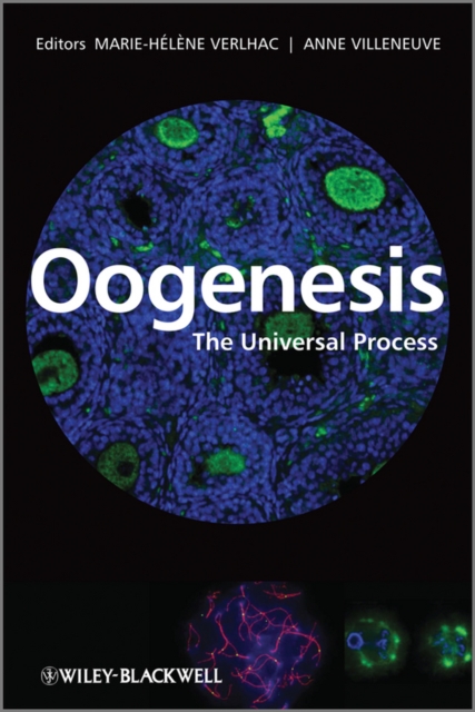 Oogenesis : The Universal Process, PDF eBook