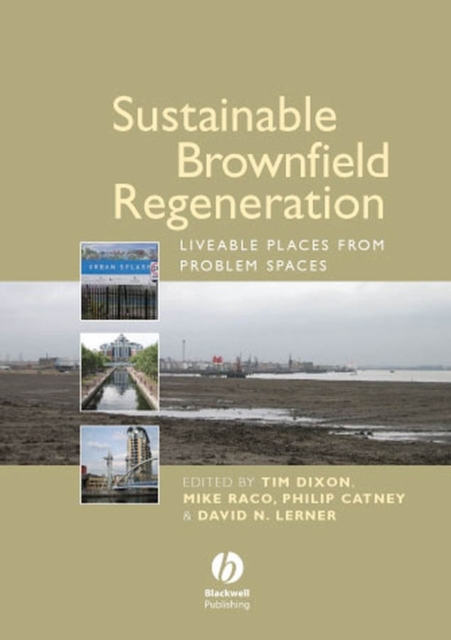 Sustainable Brownfield Regeneration : Liveable Places from Problem Spaces, PDF eBook