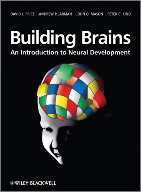 Building Brains : An Introduction to Neural Development, Hardback Book
