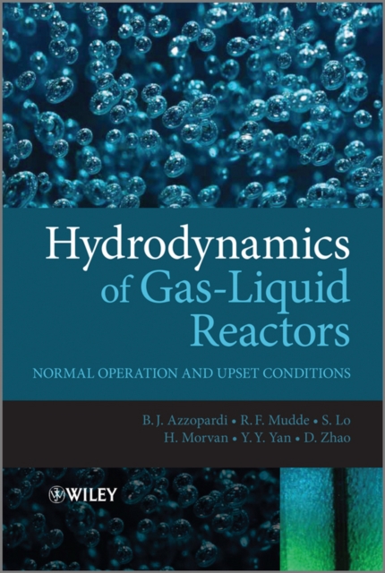 Hydrodynamics of Gas-Liquid Reactors : Normal Operation and Upset Conditions, Hardback Book