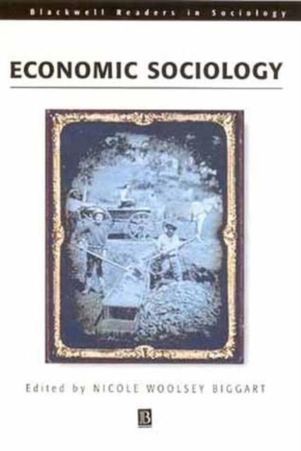 Readings in Economic Sociology, PDF eBook