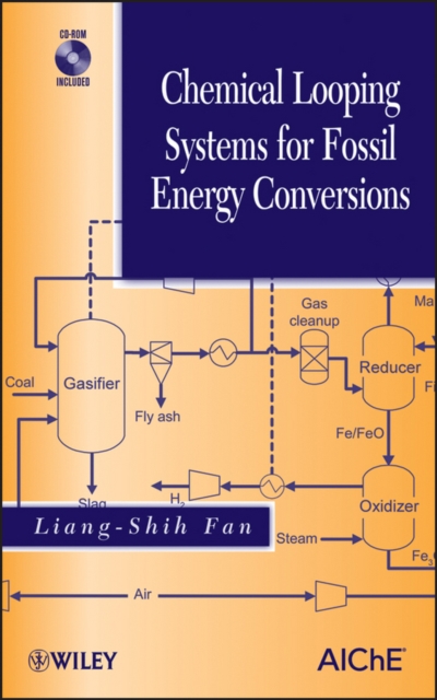 Chemical Looping Systems for Fossil Energy Conversions, Mixed media product Book