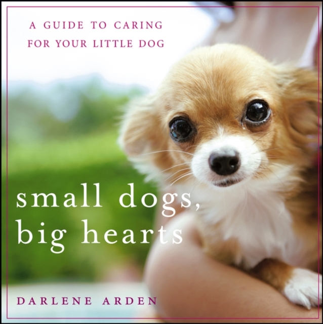 Small Dogs, Big Hearts : A Guide to Caring for Your Little Dog, EPUB eBook