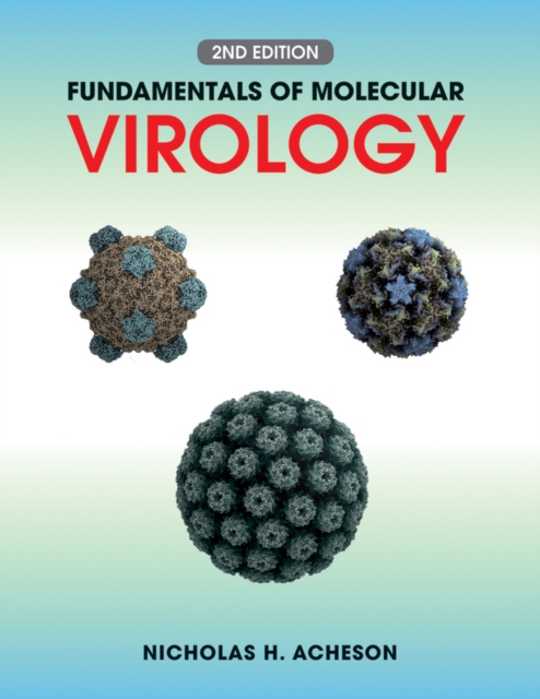 Fundamentals of Molecular Virology, Paperback / softback Book
