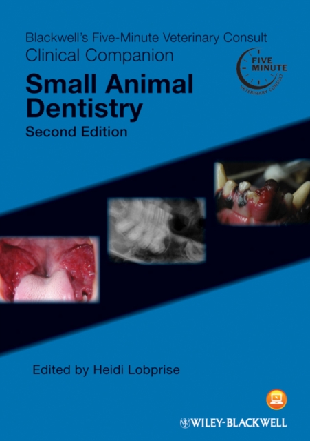 Blackwell's Five-Minute Veterinary Consult Clinical Companion : Small Animal Dentistry, Paperback / softback Book