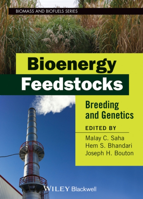 Bioenergy Feedstocks : Breeding and Genetics, Hardback Book