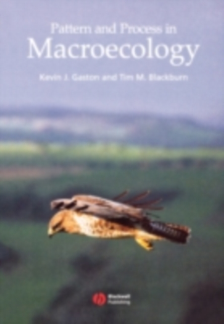 Pattern and Process in Macroecology, PDF eBook