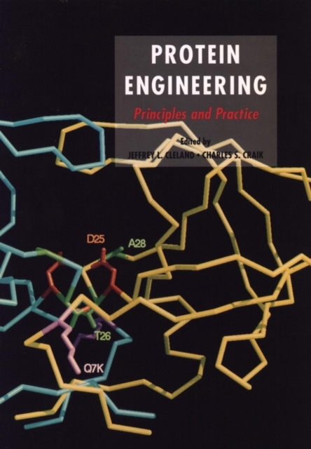 Protein Engineering : Principles and Practice, Hardback Book
