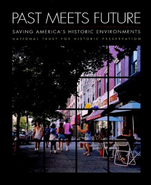 Past Meets Future : Saving America's Historic Environments, Paperback / softback Book