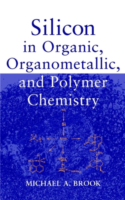Silicon in Organic, Organometallic, and Polymer Chemistry, Hardback Book
