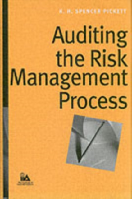 Auditing the Risk Management Process, PDF eBook