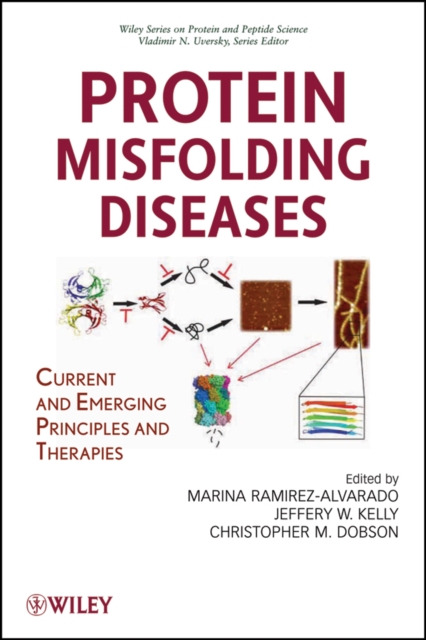 Protein Misfolding Diseases : Current and Emerging Principles and Therapies, Hardback Book