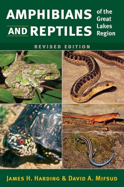Amphibians and Reptiles of the Great Lakes Region, Paperback / softback Book
