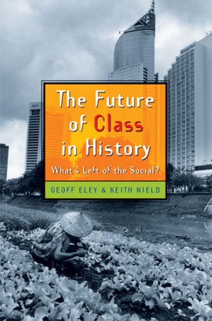 The Future of Class in History : What's Left of the Social?, Paperback / softback Book