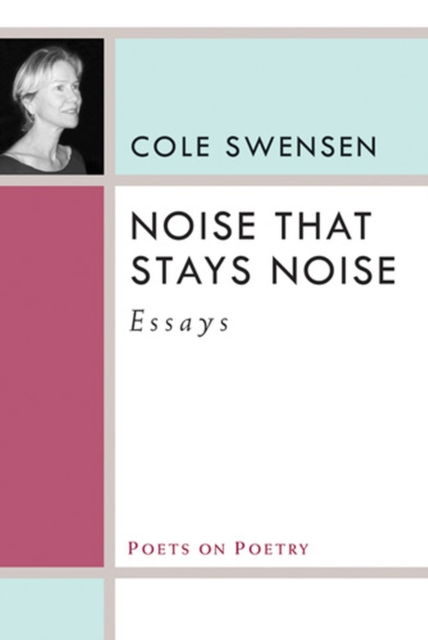 Noise That Stays Noise : Essays, Hardback Book