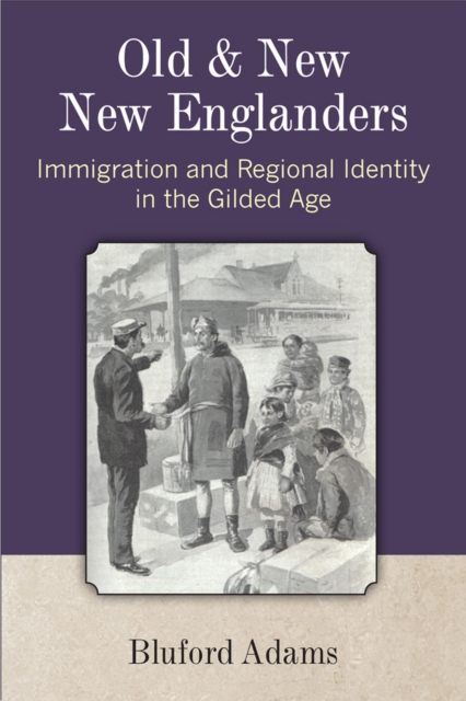 Old and New New Englanders : Immigration and Regional Identity in the Gilded Age, Hardback Book