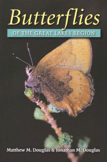 Butterflies of the Great Lakes Region, Hardback Book