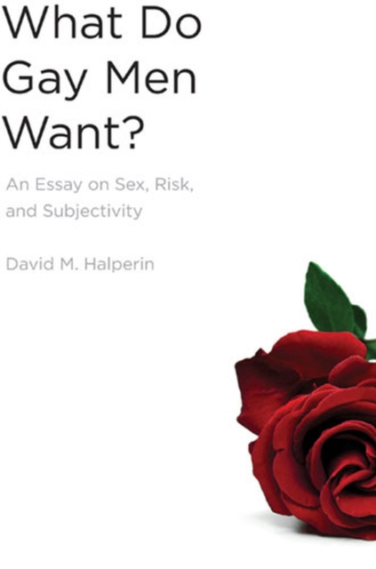 What Do Gay Men Want? : An Essay on Sex, Risk, and Subjectivity, Hardback Book